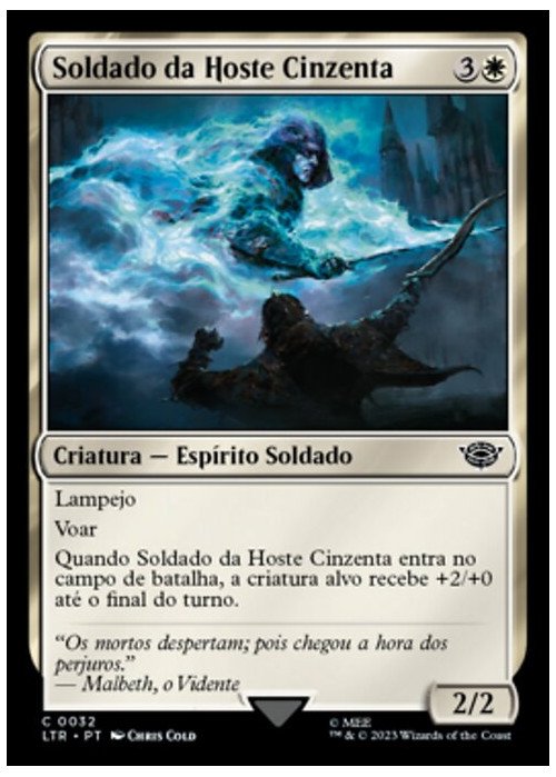 Soldado da Hoste Cinzenta