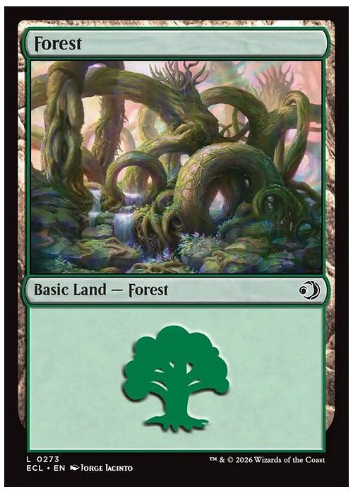 Forest