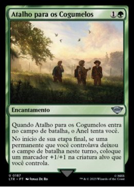 Shortcut to Mushrooms | Atalho para os Cogumelos
