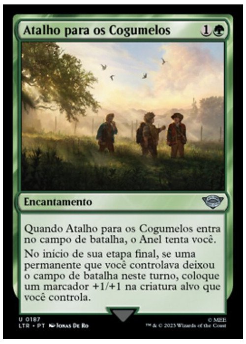Shortcut to Mushrooms | Atalho para os Cogumelos