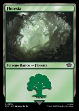 Forest | Floresta