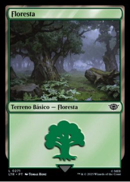 Forest | Floresta