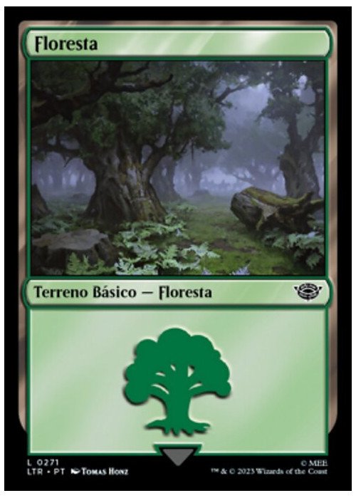 Forest | Floresta