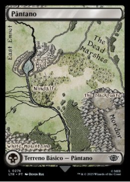 Swamp | Pântano