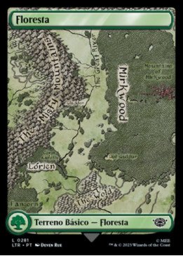 Forest | Floresta